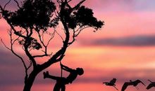 发朋友圈的精美句子风景照