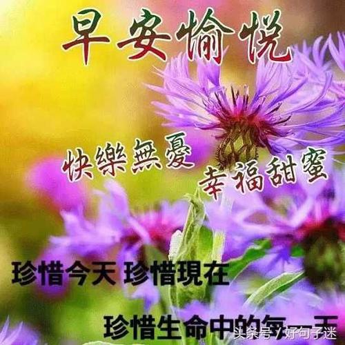 早上的问候