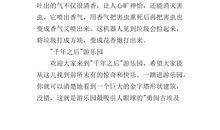 傲慢与偏见好词好句