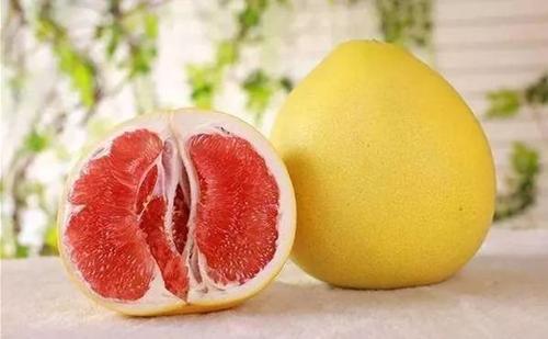 葡萄柚的隐喻