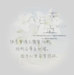 小安妮的爱情行情