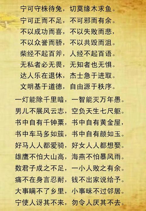 老年人的谚语