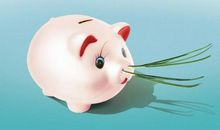 猪鼻子里插大葱的歇后语