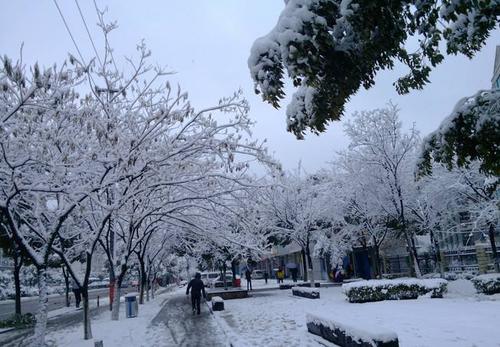 下雪的报价