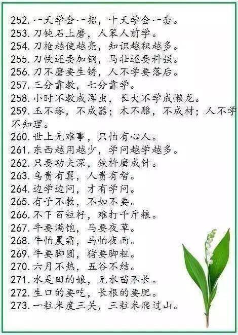 写出包含龙的谚语