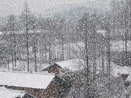 引述下雪天心情不好