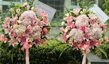 开张花篮祝福语