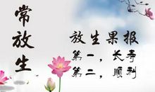 佛语经典语录600句