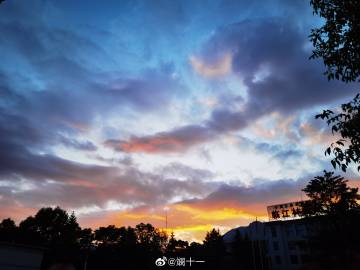 兰一句话