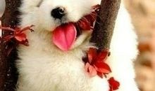 描写恬淡宁静的诗句