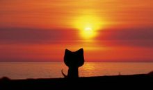 眺望远方的唯美句子、图片