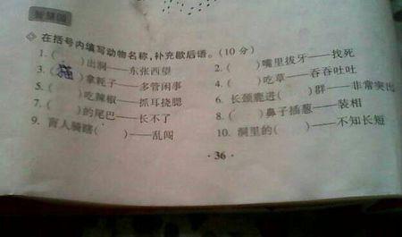 猴子的寓言