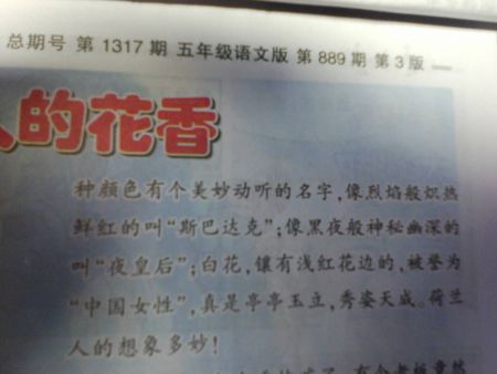 拟人化句子花