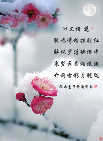 诗歌描写花朵盛开