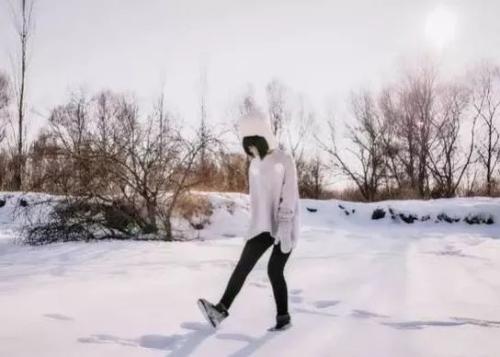 雪域语录