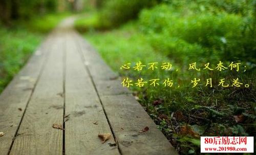 QQ谈人生感悟