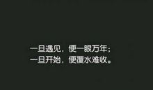 描写淡定的句子