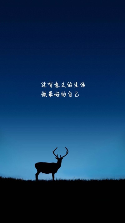 做自己的励志句子