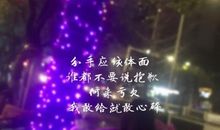 朋友圈寂寞的句子