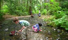 骑老母猪过河歇后语