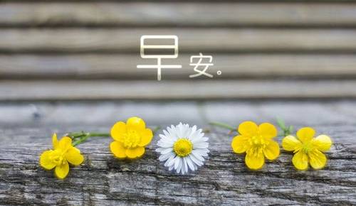 早上好