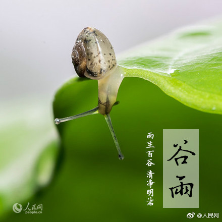 2020谷雨节气谈朋友圈句子