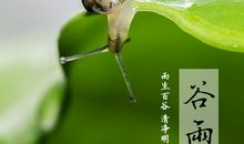 2020谷雨节气说说朋友圈句子