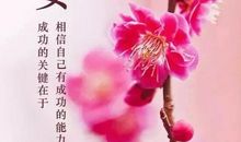 朋友圈问侯美句子