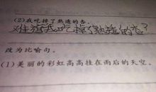 写头发的比喻句