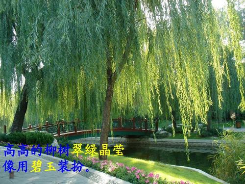 柳枝寓言句