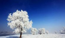 描写初雪的优美句子