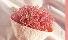 抖音爆红的小清新句子