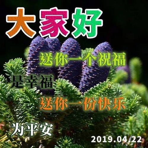 太空的祝福