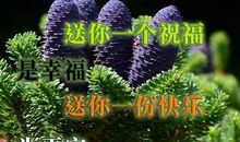 空间祝福语大全祝福