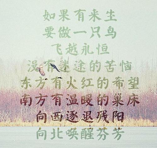 冬季保暖句子