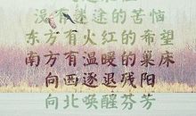 冬天送温暖的句子