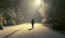 孤单的人的说说