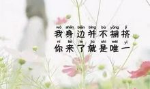 朋友圈小清新的句子