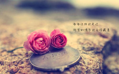 结婚周年纪念日