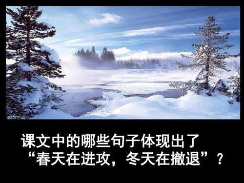 冬季温暖行情