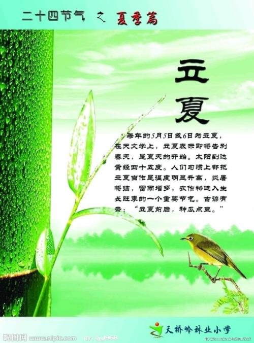 什么是蔬菜谚语