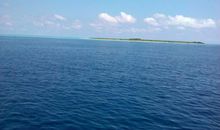 关于海滩的句子