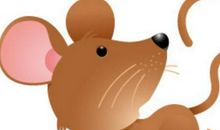 老鼠跌落天秤上歇后语