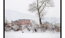 描冬天的诗句古诗