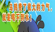 粉刷的乌鸦歇后语