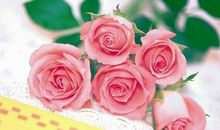 情人节快乐短信