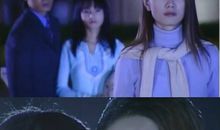 海豚湾恋人经典台词