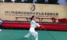 描写表演的句子