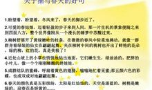 好句子四年级的