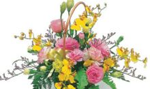 经典大哥生日祝福语